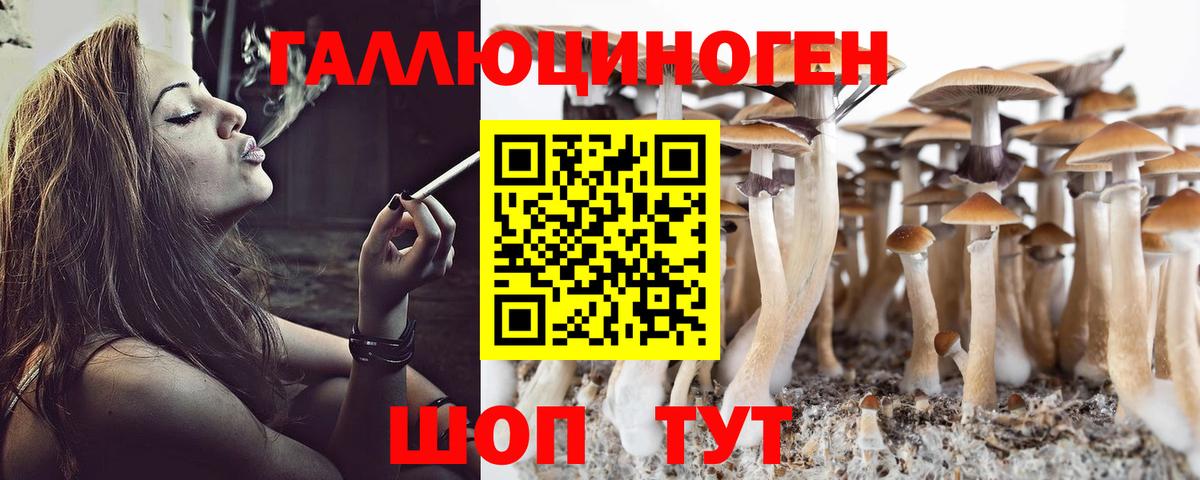 Псилоцибиновые грибы мухоморы Кудымкар